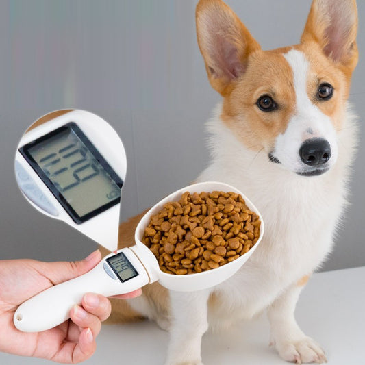 Pet Food Measuring Scoop