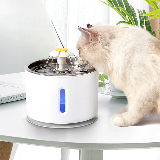 Pet Automatic Water Dispenser