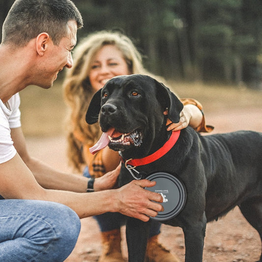 Collapsible Dog Bowl