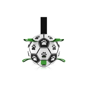 Interactive Pet Football Toy