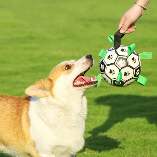 Interactive Pet Football Toy