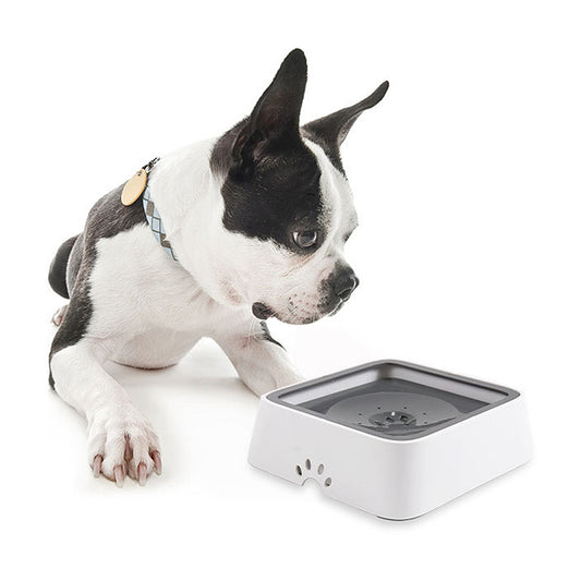 Pet Drinking Water Bowl